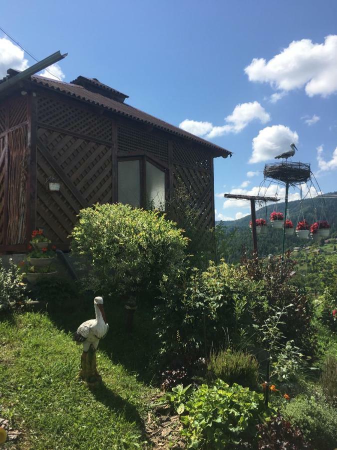 Відпочинок У Пронів Hotel Slavsko Exterior foto