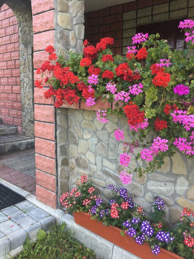 Відпочинок У Пронів Hotel Slavsko Exterior foto