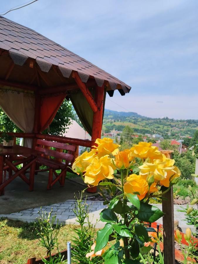 Відпочинок У Пронів Hotel Slavsko Exterior foto